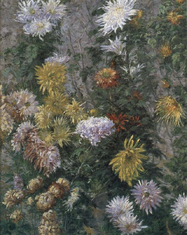 Gustave Caillebotte White and yellow chrysanthemum Norge oil painting art